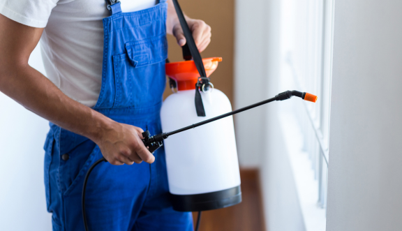 Excellent pest control in Brisbane
